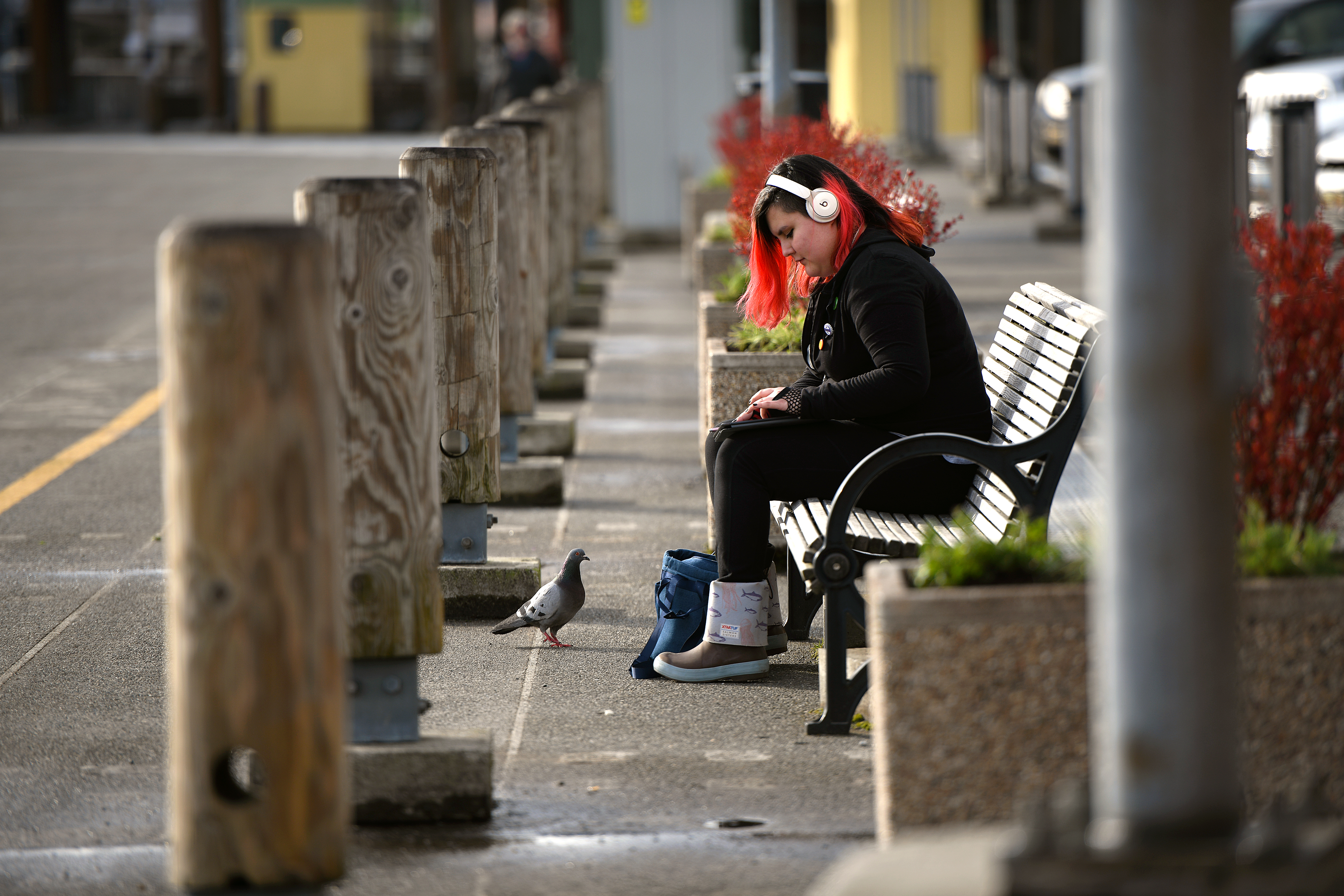 Art with a pigeon 042622 01